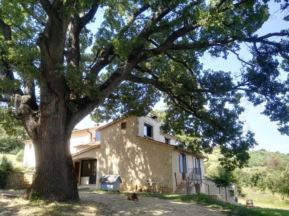 Maison D'Hotes Du Grand Chene Valensole Ngoại thất bức ảnh
